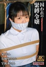 囚われの緊縛令嬢 DIDコレクション3