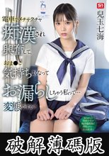電車でメチャクチャ痴●され興奮して、おま●こ気持ちよくなってお漏らししちゃう私って… 変態ですか？ 兒玉七海 (破解薄碼版)