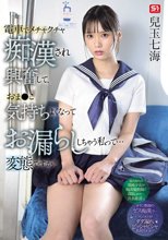 電車でメチャクチャ痴●され興奮して、おま●こ気持ちよくなってお漏らししちゃう私って… 変態ですか？ 兒玉七海_
