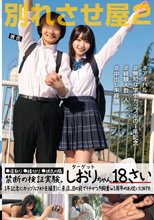 別れさせ屋2