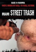 Miami Street Trash