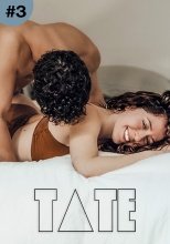 TATE 3