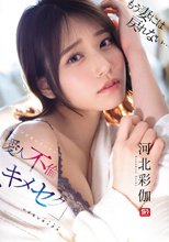 もう妻には戻れない… いけないカンケイ（愛人不倫）といけないセックス（キメセク） 河北彩伽_
