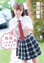 澄川紗香 / 純情ハニカミ・スマイル