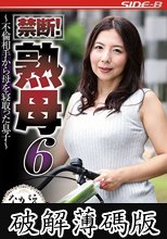 禁断！熟母6 ～不倫相手から母を寝取った息子～ 一条綺美香 (破解薄碼版)