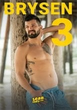 Brysen 3
