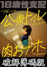 SNSで出会ったクズ男にハマった結果、公衆トイレでさくっとヌくための肉おナホ要員にされた18歳の記録映像。最終的に都合のいいように扱われ続けて涙目になるまでマワしつくされる。 寺川ねね (破解薄碼版)
