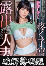 露出願望に憑りつかれた人妻 オマ●コを見られる…と思うほど疼く子宮… 碧波しずく (破解薄碼版)