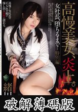 高慢美女、炎上。女社長、堕ちるまで… 特別編 緒川凛 (破解薄碼版)