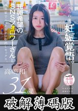 レスられ妻、妊娠覚悟。托卵希望のSNSフォロワーさんと義実家でこっそりナマ中出しセックス。高嶋和 (破解薄碼版)