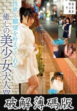 性欲と願望を叶えてくれる癒しの美少女大人買い そら/ひかる (破解薄碼版)