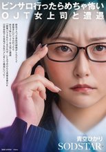 新卒で入った会社の研修がしんどくて息抜きにピンサロ行ったらめちゃ怖いOJT女上司と遭遇「副業バラされたくなければ…」とカマかけたら見事本番OK 以来会社でも自宅でも生ハメしまくり最高にハッピー 青空ひかり