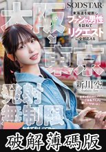 大阪→東京 東海道を縦断しファンの男性を訪ねてリクエストに全部応える発射無制限おもてなしツアー 5セックス！ 新川空 (破解薄碼版)