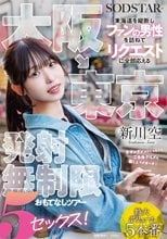 大阪→東京 東海道を縦断しファンの男性を訪ねてリクエストに全部応える発射無制限おもてなしツアー 5セックス！ 新川空_