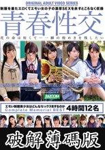 青春性交 エモい制服美少女はどんなセックスをするのか Complete Memorial BEST 4時間12名 (破解薄碼版)