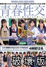 青春性交 エモい制服美少女はどんなセックスをするのか Complete Memorial BEST 4時間12名