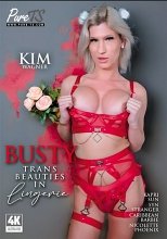 Busty Trans Beauties in Lingerie