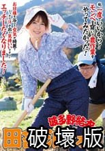 波多野結衣の田舎に泊まろう